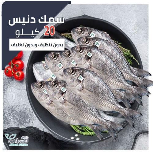 20 كيلو سمك دنيس