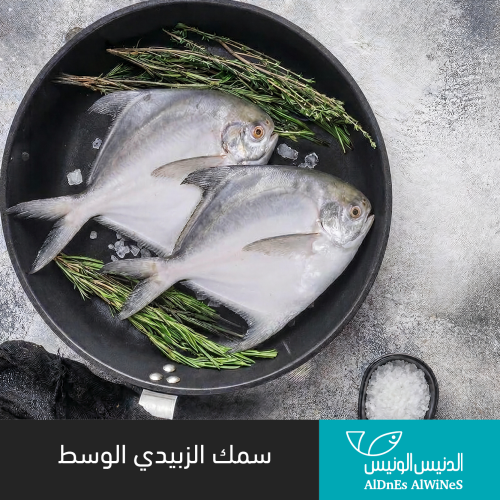 500 جرام سمك زبيدي وسط