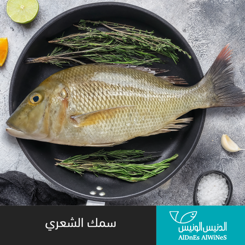 1 كيلو سمك شعور