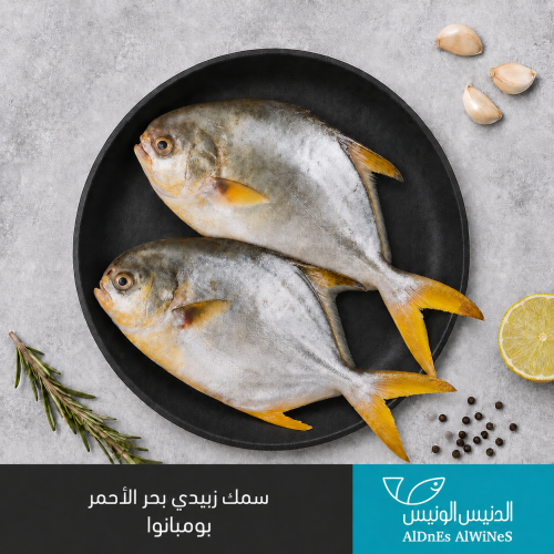 زبيدي البحر الاحمر