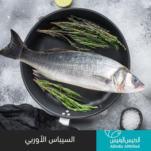 1 كيلو سمك سيباس اوروبي