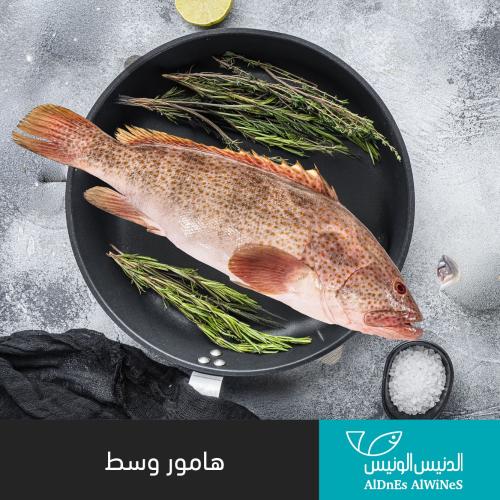 1 كيلو سمك هامور وسط