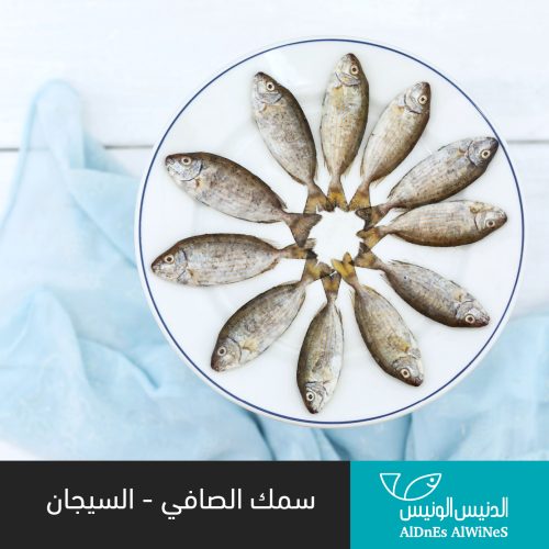 1 كيلو سمك السيجان ( الصافي )
