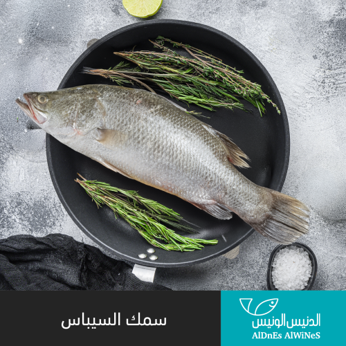 1 كيلو سمك سيباس