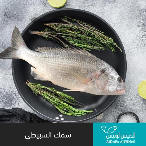 1 كيلو سمك السبيطي