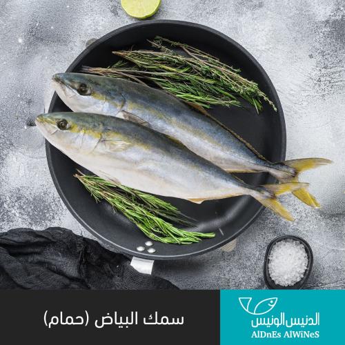 1 كيلو سمك البياض - حمام