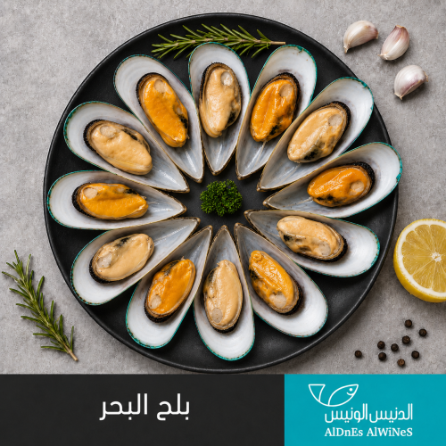 1 كيلو بلح البحر