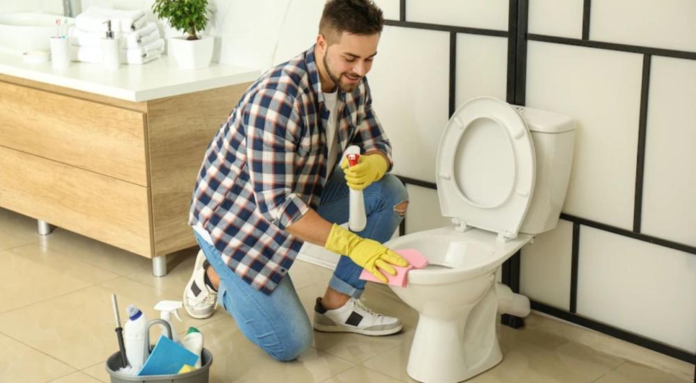 Toilet cleaning products