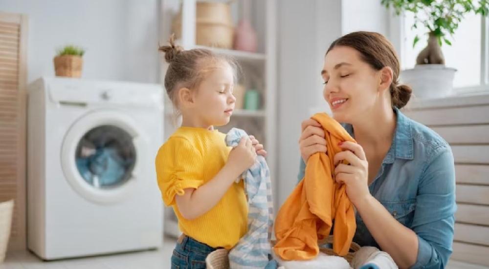 Clothes fresheners