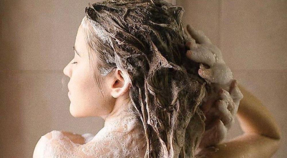 شامبو للشعر الدهني