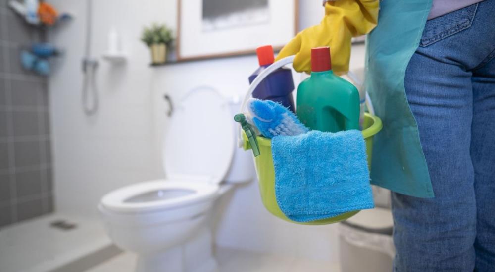 Toilet cleaner