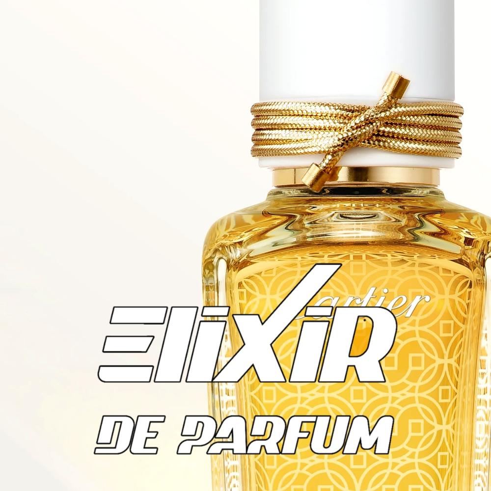 Oud & Ambre Cartier (ALTERNATIVE) - ELIXIR DE PARFUM