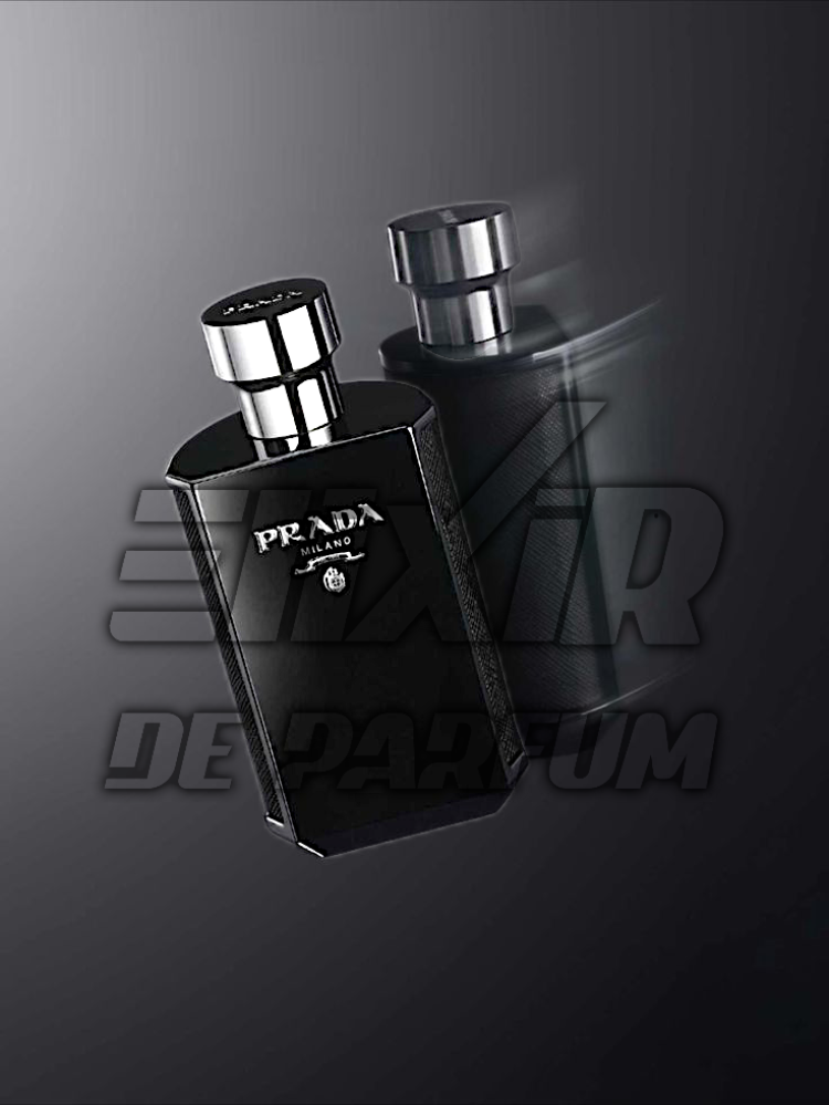 Prada L'Homme Intense Prada Alternative - ELIXIR DE PARFUM