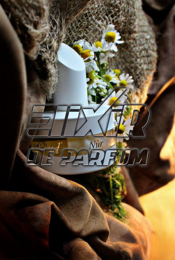 بديل نور سو عود Nur SoOud