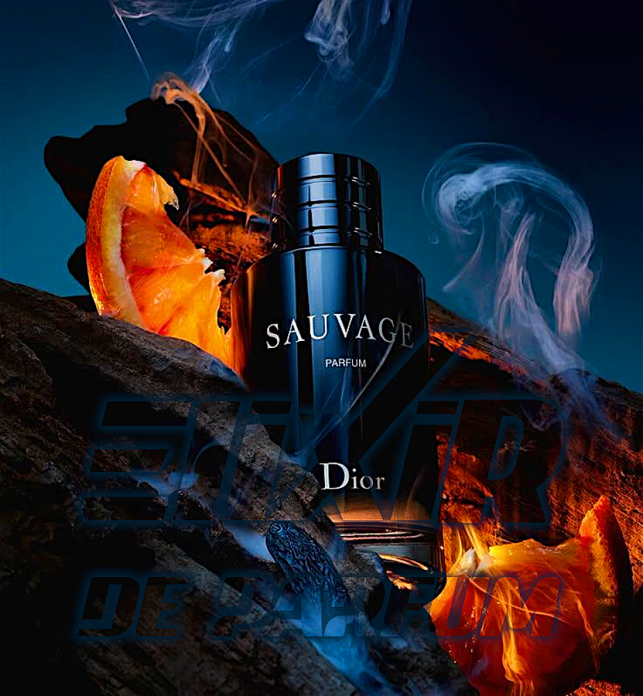 Sauvage Parfum Dior Alternative - ELIXIR DE PARFUM