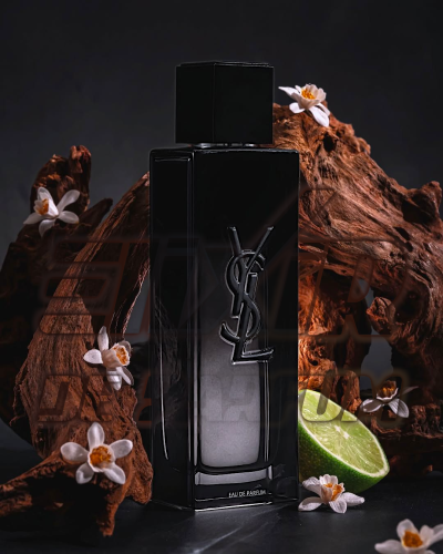 La Nuit de L'Homme Yves Saint Laurent Alternative - ELIXIR