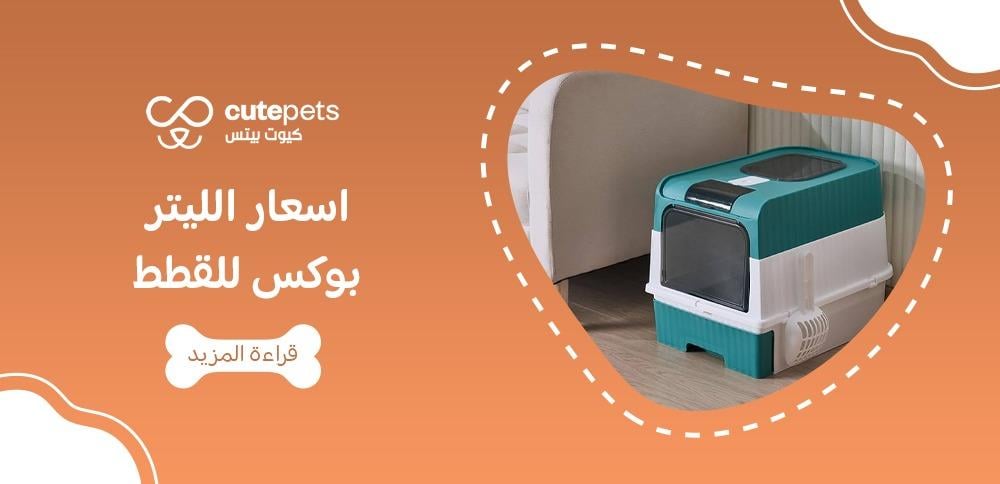 اسعار الليتر بوكس للقطط