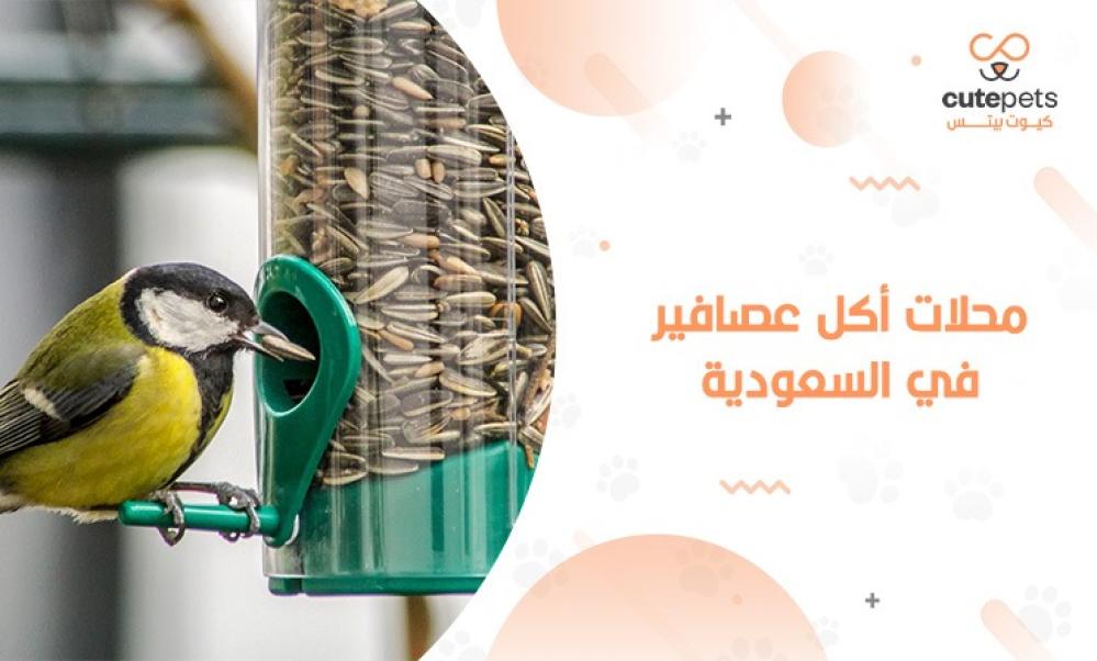 اين يباع اكل العصافير