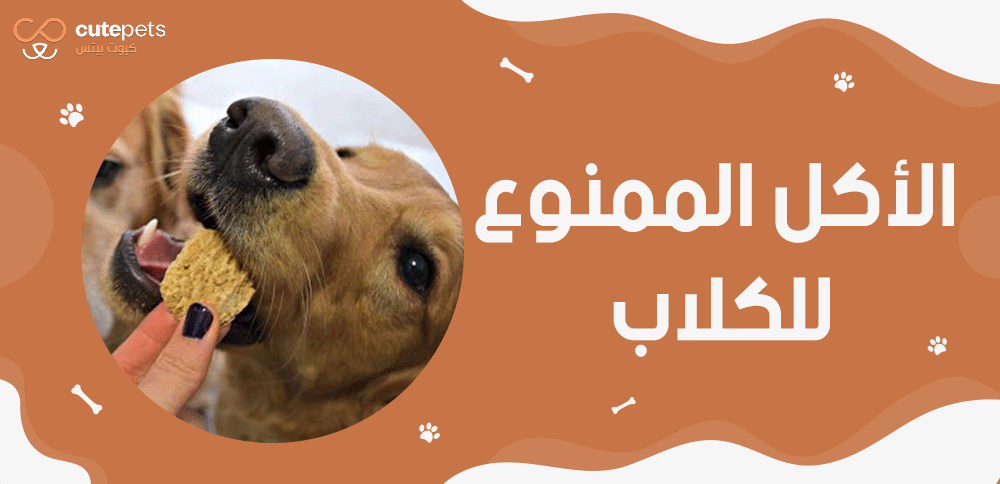 الأكل الممنوع للكلاب