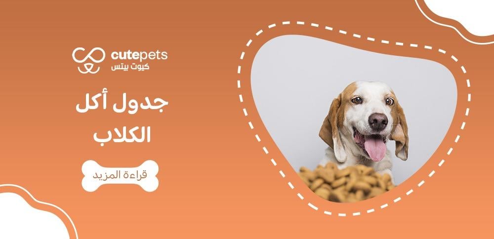 جدول أكل الكلاب