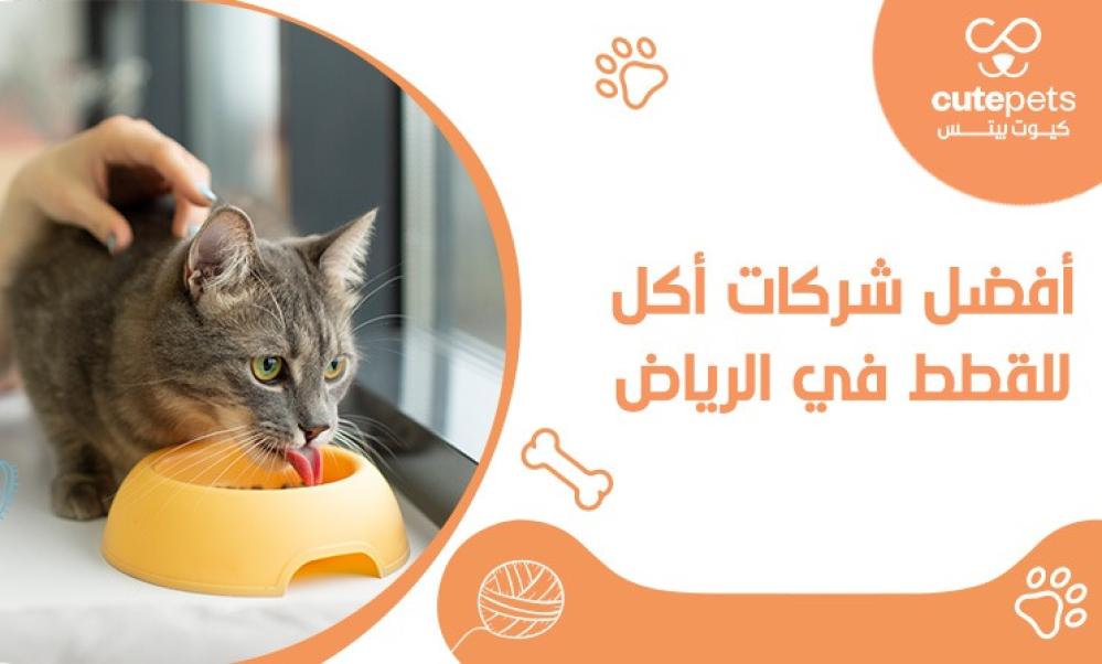 أفضل شركات أكل القطط