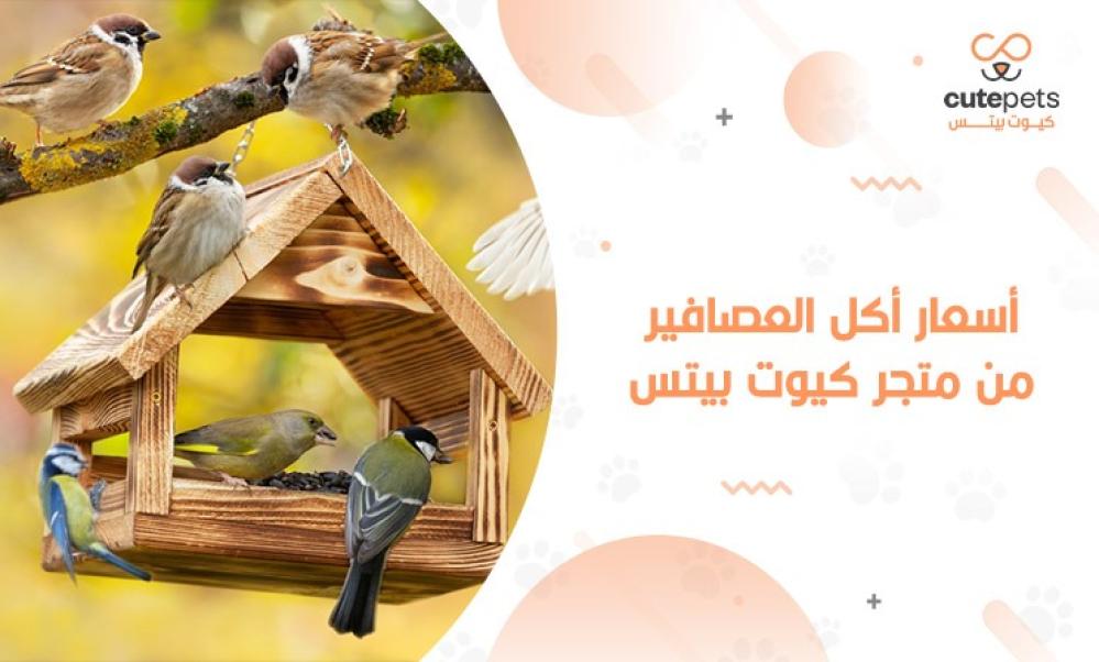 أسعار حبوب الطيور