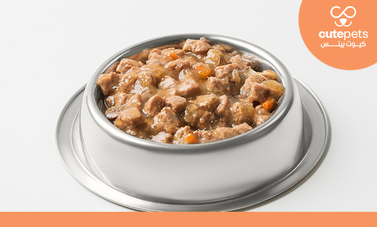 اكل قطط رطب بالكرتون