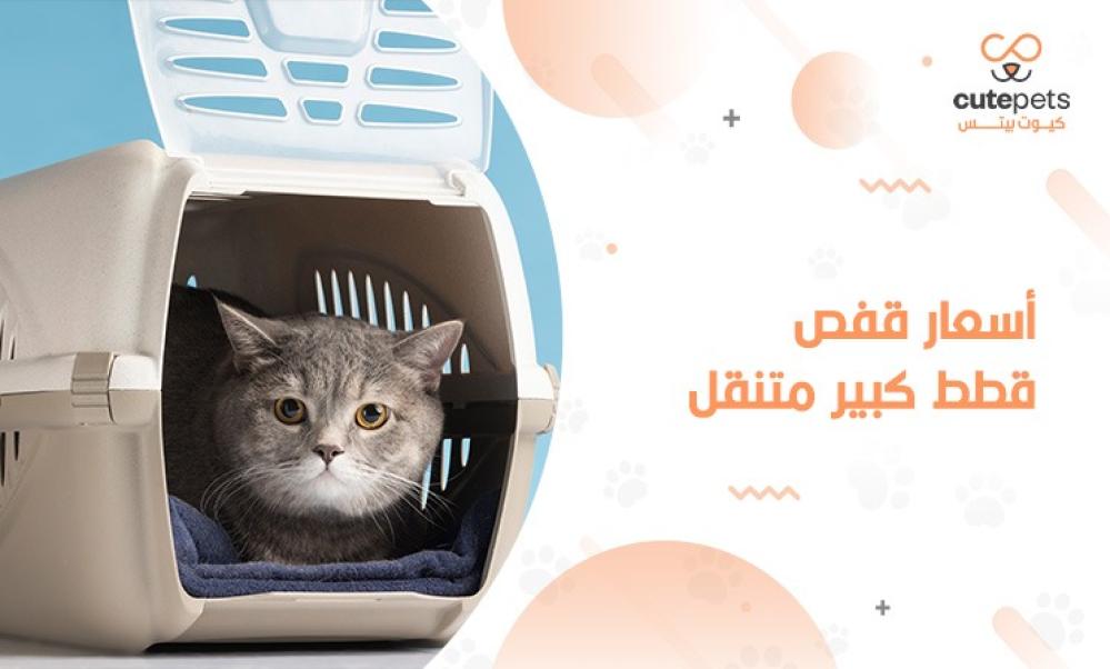 كم سعر قفص القطط