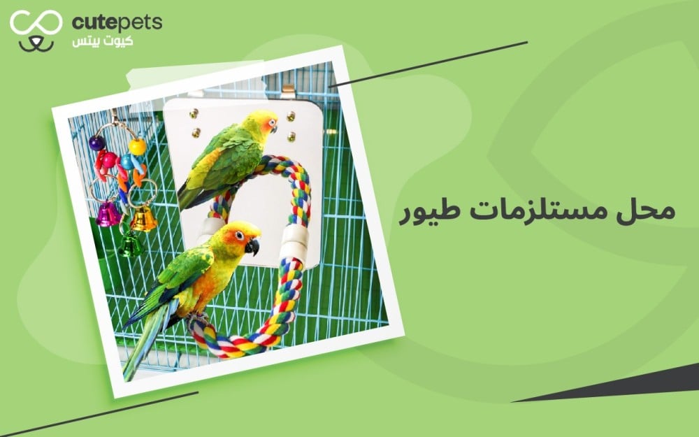 محل مستلزمات طيور في الرياض