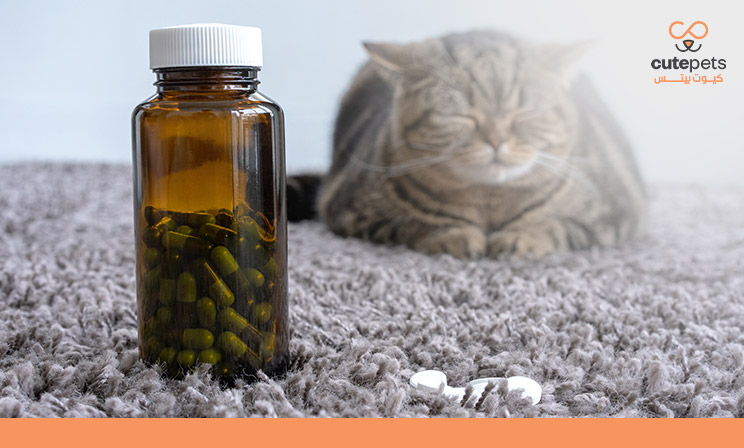 ملتي فيتامين للقطط