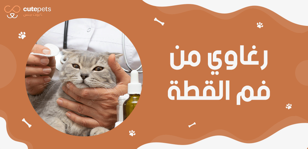 رغاوي من فم القطة