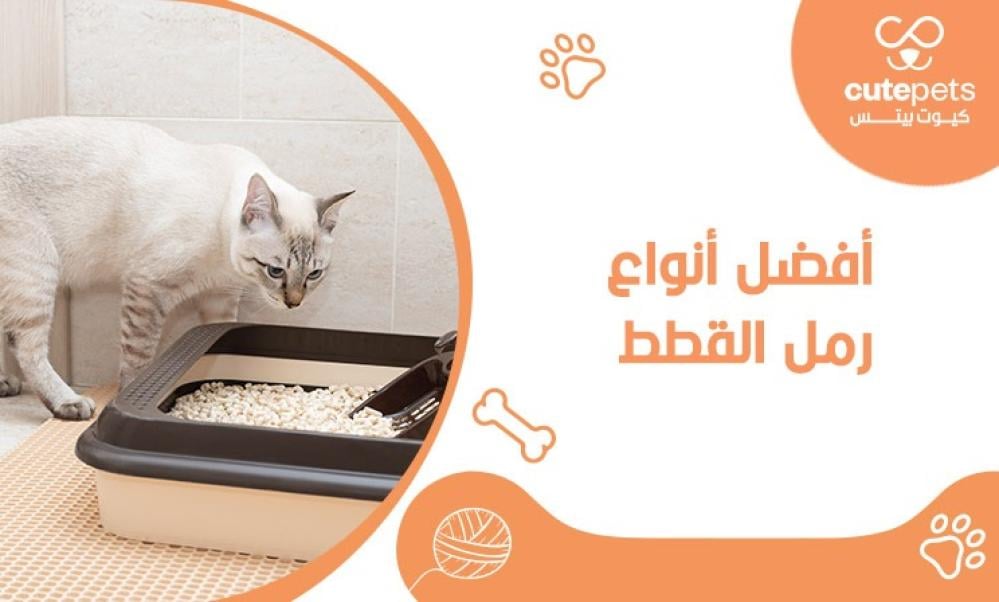 أفضل أنواع رمل القطط