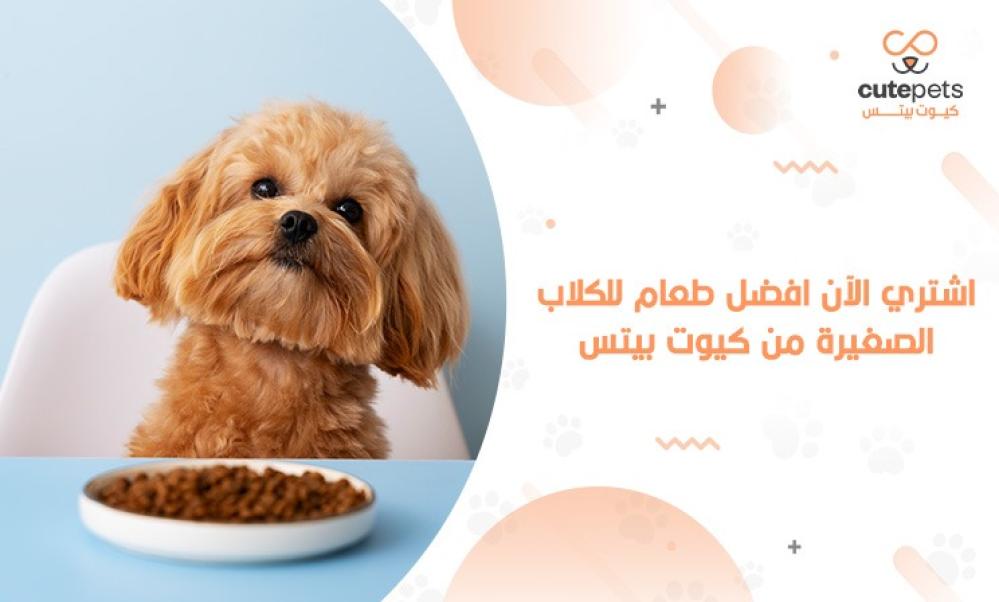 افضل طعام للكلاب الصغيرة