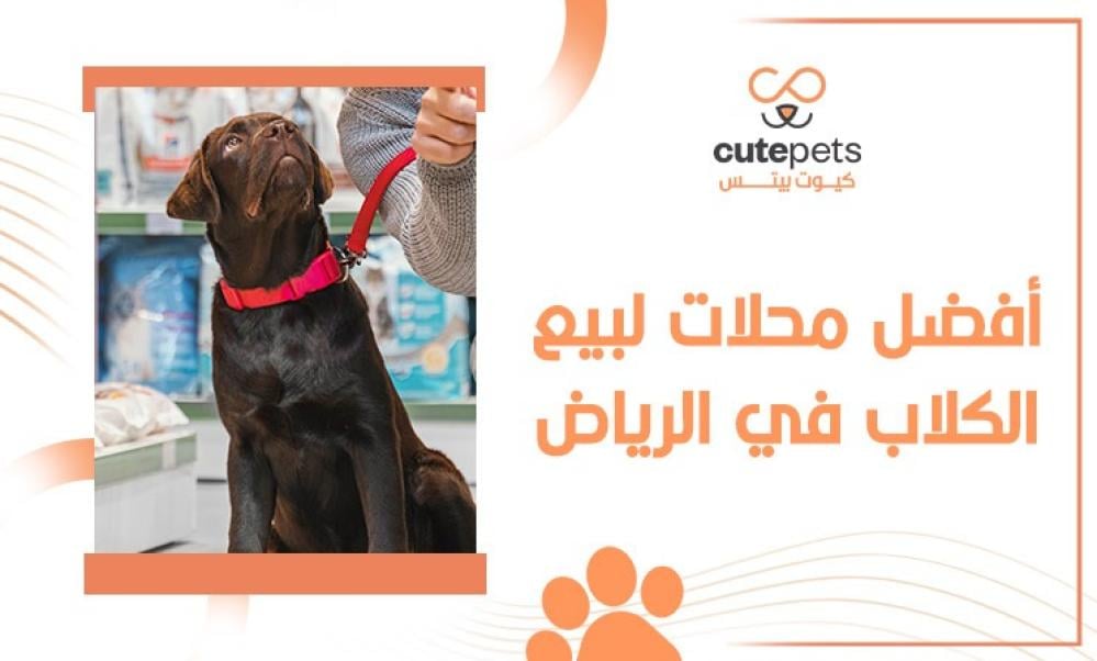 محلات كلاب في الرياض