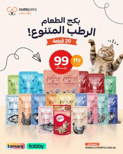 مجموعة طعام ويت فود 20 قطع PR-MY