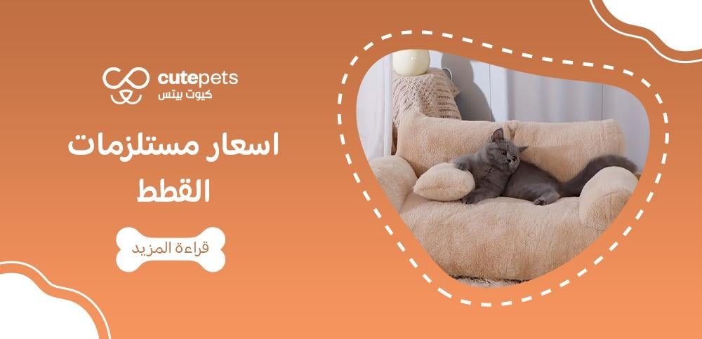 اسعار مستلزمات القطط