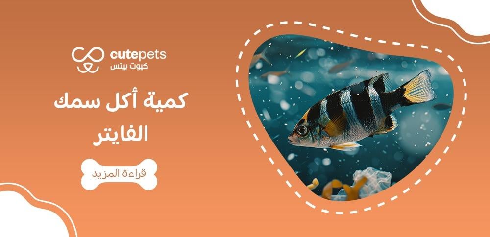 كمية اكل سمك الفايتر