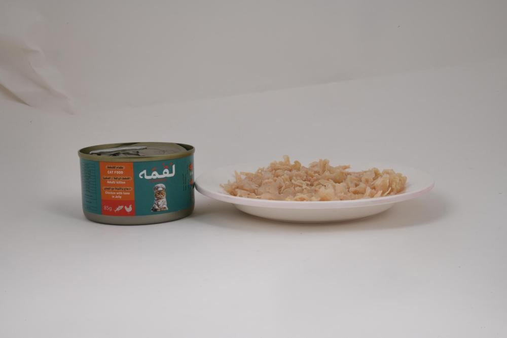 لقمه طعام رطب للقطط