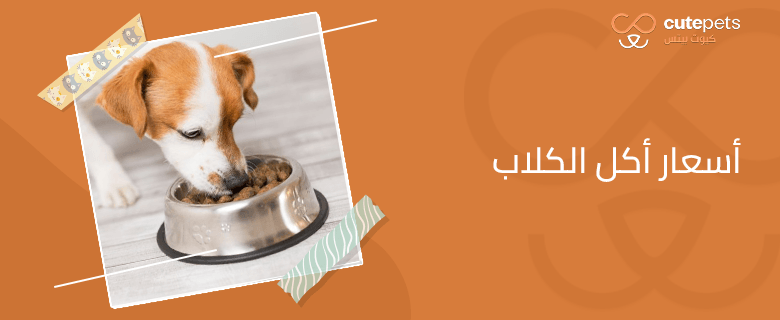 اسعار اكل الكلاب
