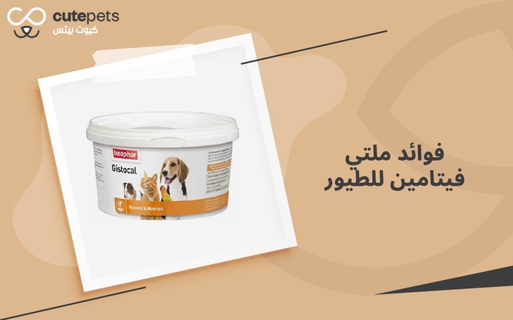 فوائد ملتي فيتامين للطيور