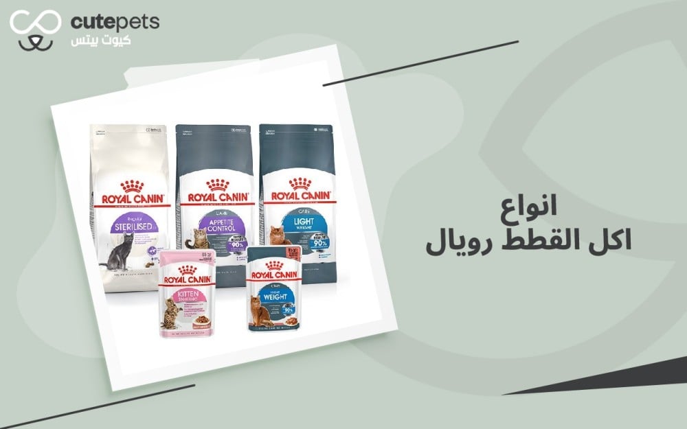 انواع رويال كانين للقطط انواع رويال كانين للقطط