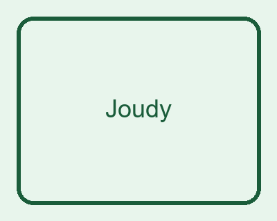 Joudy