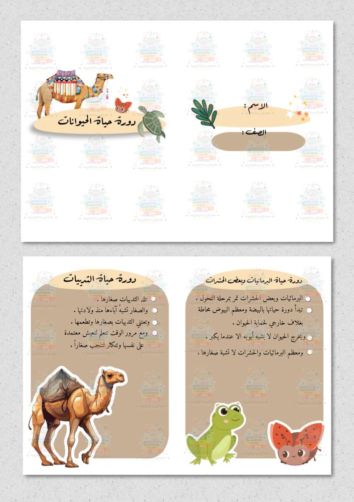 مطوية دورة حياة الحيوانات مادة ( العلوم ) ثاني ابتدائي
