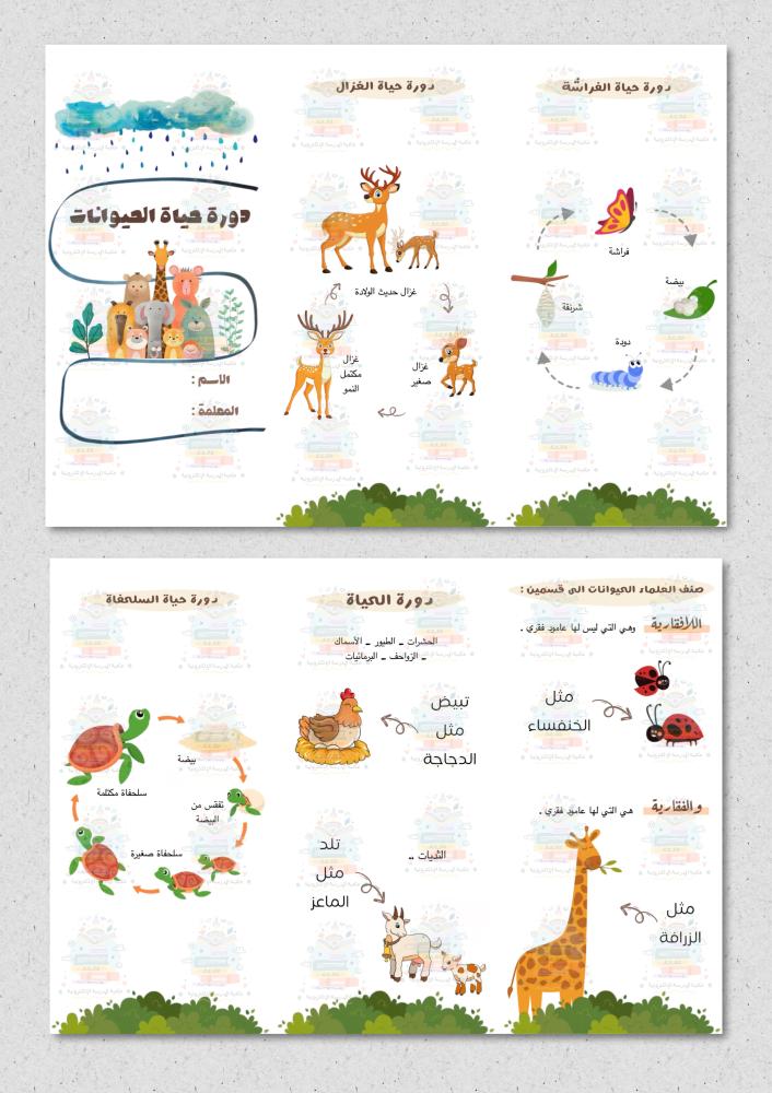 مطوية دورة حياة الحيوانات مادة ( العلوم ) ثالث ابتدائي