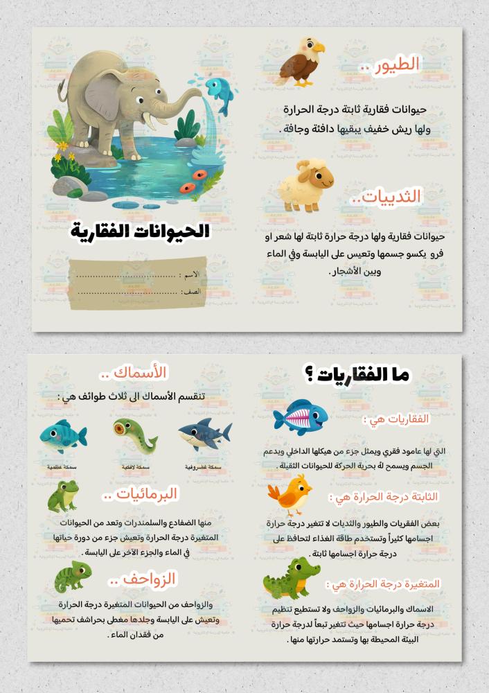 مطوية الحيوانات الفقارية علوم رابع ابتدائي