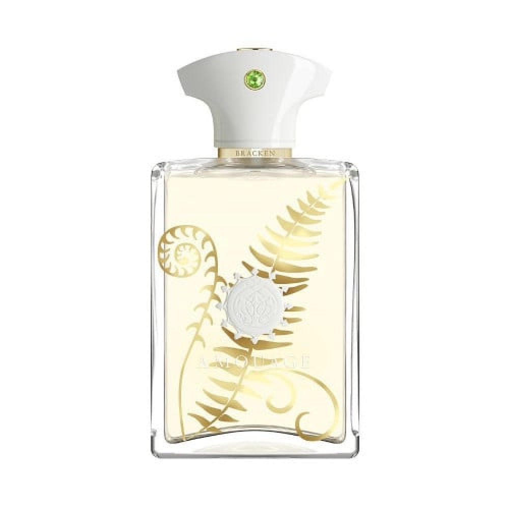 عطر امواج براكن الرجالي او دو بارفيوم 100مل  Amouage Bracken for Men Eau de Parfum 100ml