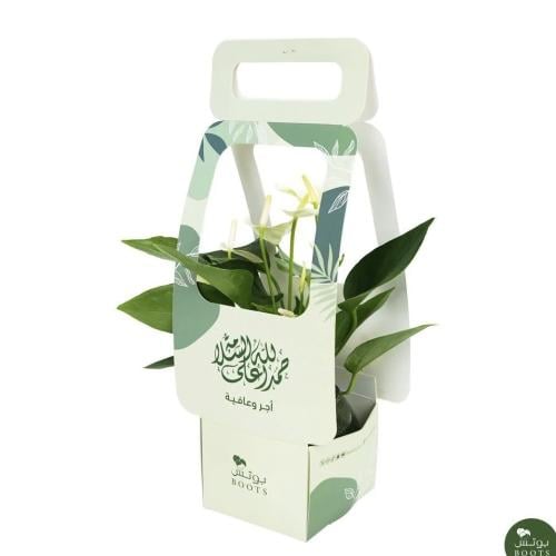 الهدية البيضاء (أجر وعافية)