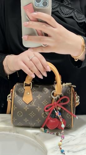 شنطة Lv