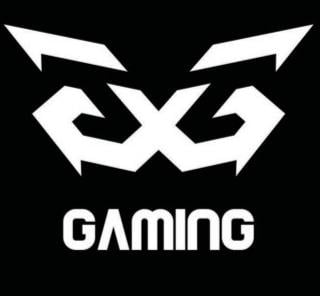 قيمنق GAMING