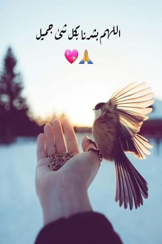 سراج منير
